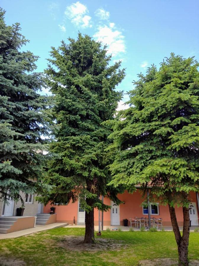 Dumalux Apartment Subotica Exterior photo